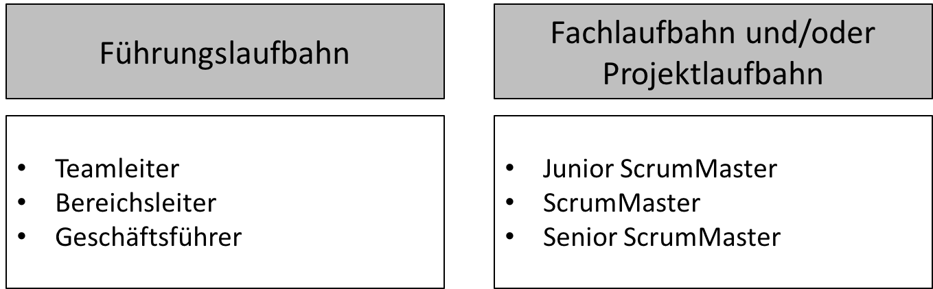 agile karriere