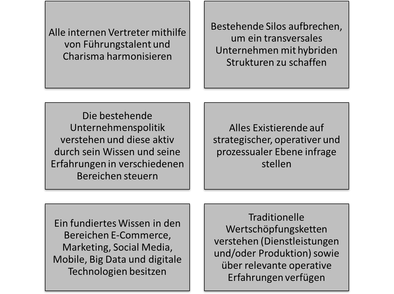 Digital Leader