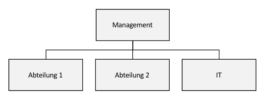 zentrale IT Organisation