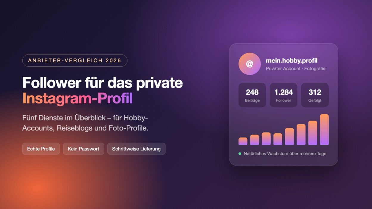 instagram follower privat